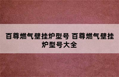 百尊燃气壁挂炉型号 百尊燃气壁挂炉型号大全